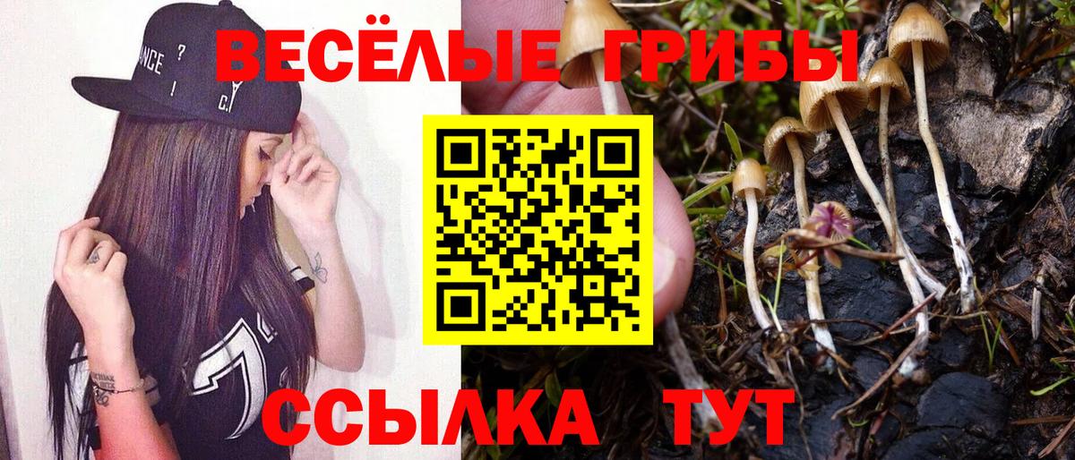 Галлюциногенные грибы Cubensis  Вход с VPN  Амурск  Галлюциногенные грибы Magic Shrooms 